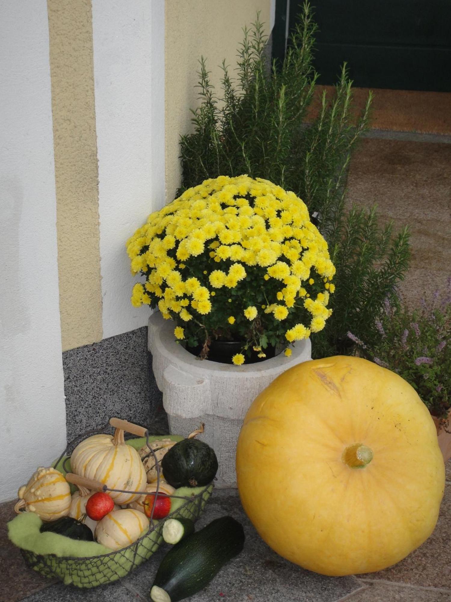 Ferienwohnung Haus Lehen سانكت كولومن المظهر الخارجي الصورة